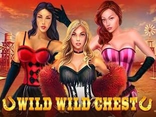 Wild Wild Chest game thumbnail