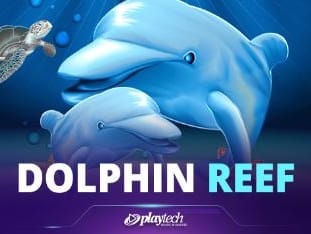 Dolphin Reef game thumbnail